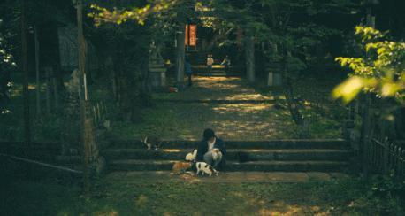 一夜之间，又一个女偶像被毁了