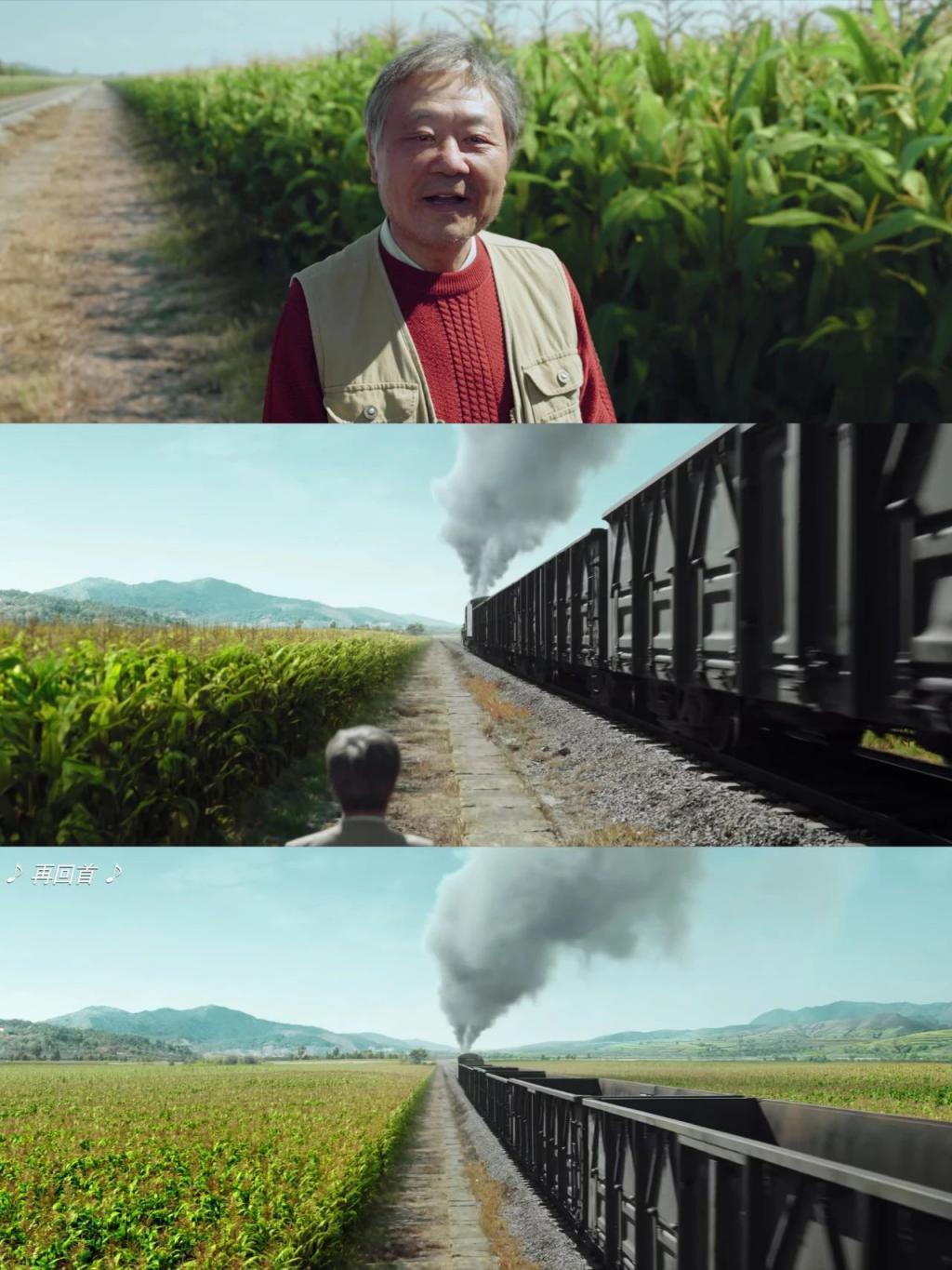 从李木戈到许宏宇，作者导演迭代网红导演？