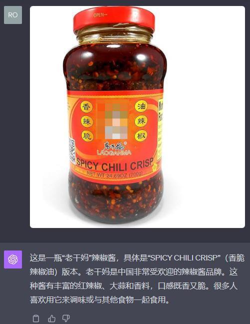 语音陪聊还能给你看病，升级后的ChatGPT又开始嘎嘎乱杀了。
