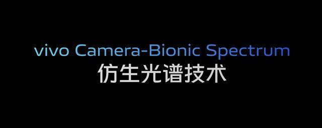 谁说中杯拍不出好照片 vivo X90s影像长测体验
