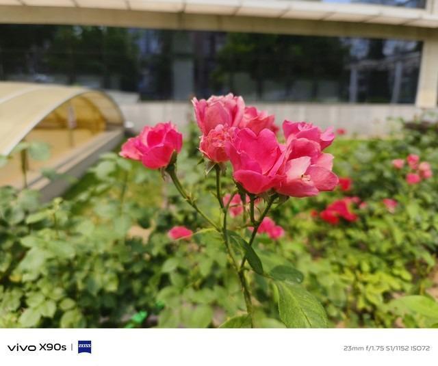 谁说中杯拍不出好照片 vivo X90s影像长测体验