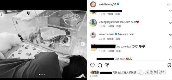 TVB视后19岁爱猫离世，发文感不舍：没有你陪伴我会怎样