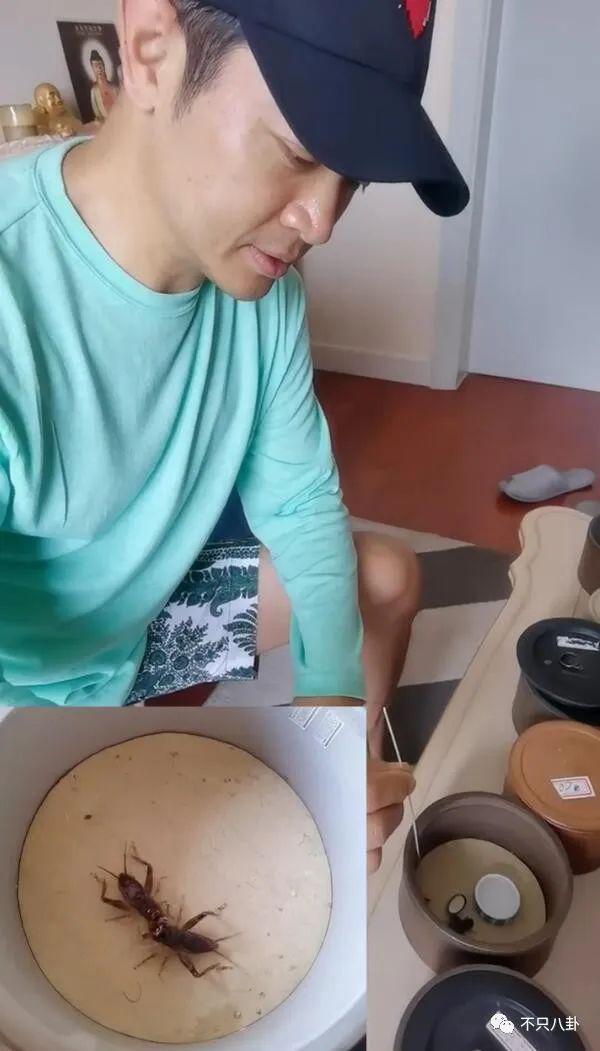 荒诞狗血且离谱！他背地里竟然玩得这么花？