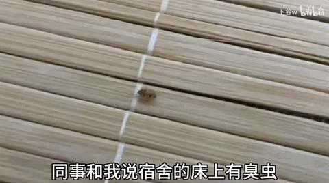 一夜爆红的少年，残酷的底层深圳