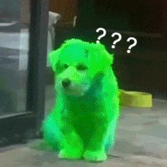 头铁的她，这次终于出大事了？