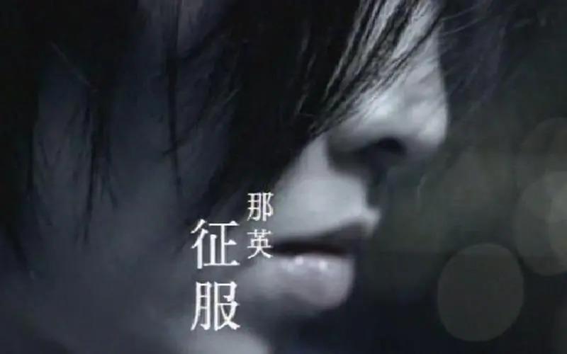 那英是一种精神状态