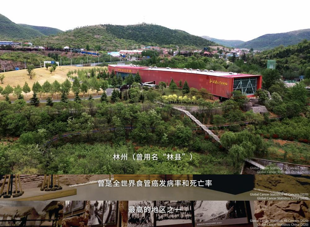 只有中国有资格拍它，别人偷不走