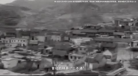 只有中国有资格拍它，别人偷不走