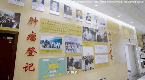 只有中国有资格拍它，别人偷不走