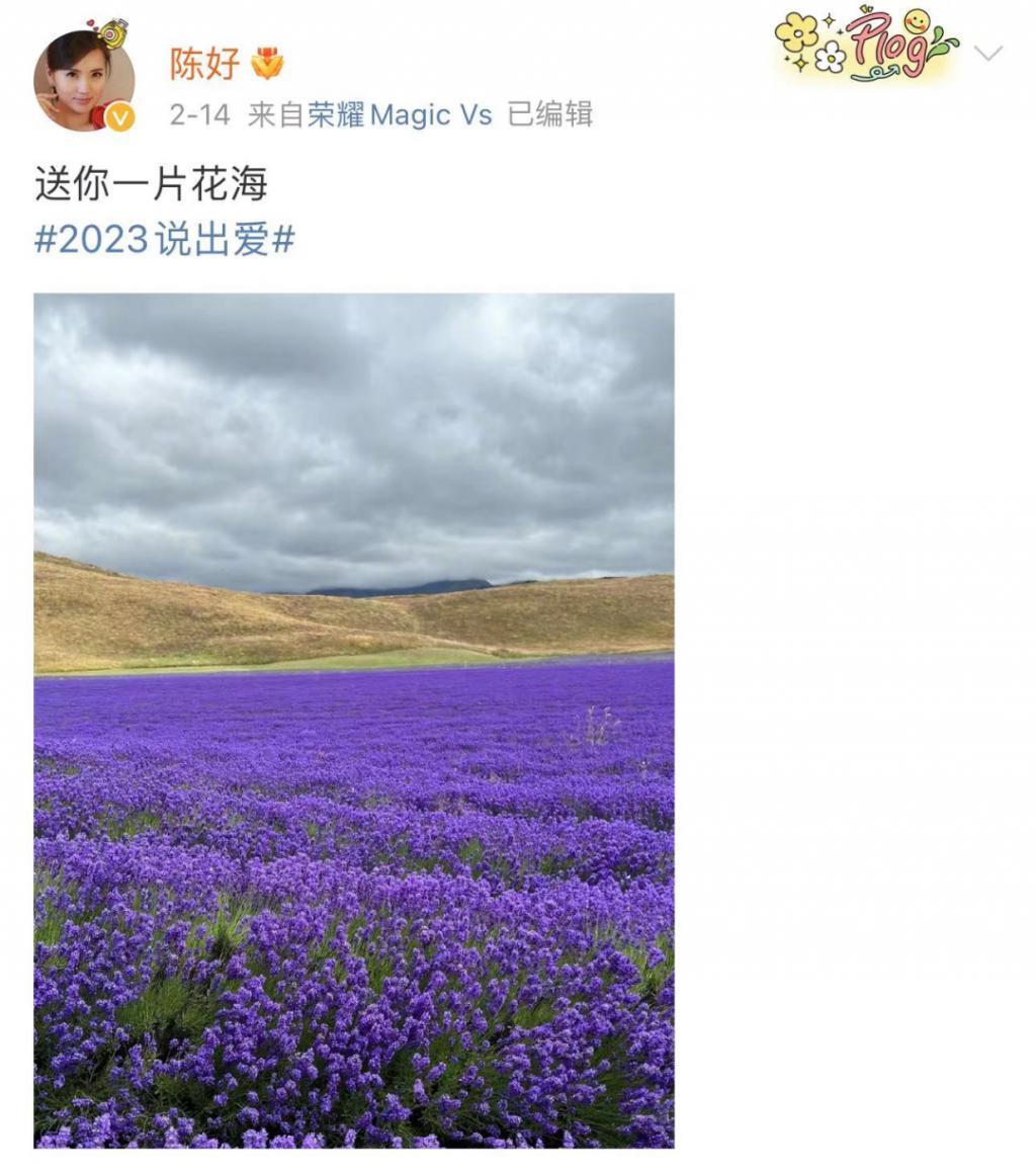 巅峰期选择隐退，她后悔吗？