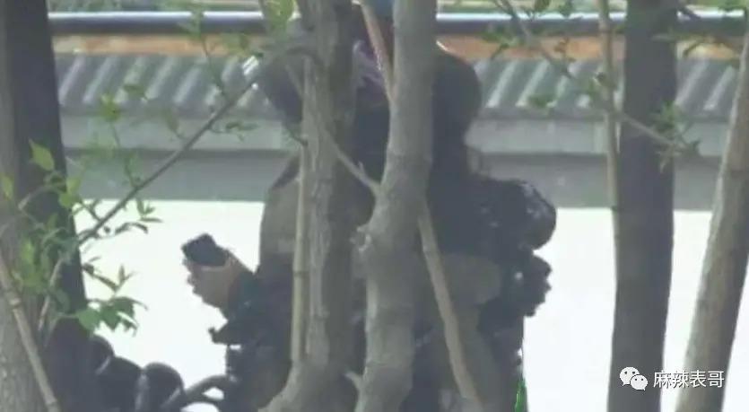 周一见？男星林更新黄宗泽陈牧驰分别被曝恋情