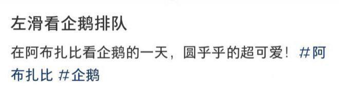 奚梦瑶晒与何猷君亲密合影 夫妻俩一起看企鹅超甜