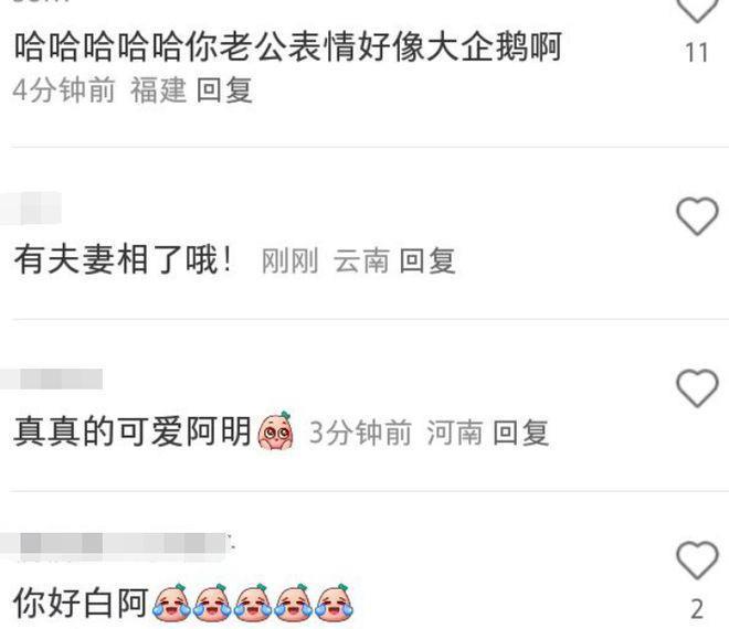 奚梦瑶晒与何猷君亲密合影 夫妻俩一起看企鹅超甜