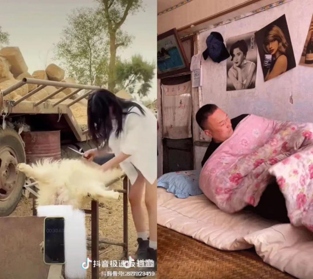 消失两年，李子柒为何依然被偏爱？
