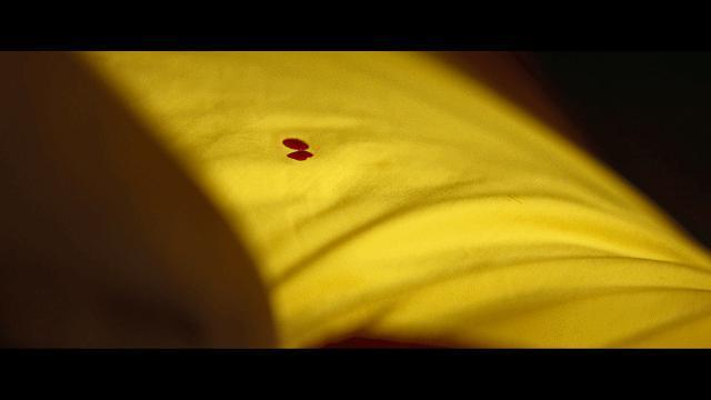 大女主爽片，卷起来了