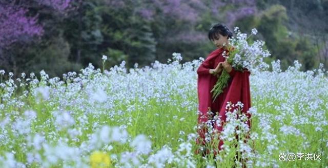 李子柒到底有多牛？停更一年每月仍有10多万美元进账