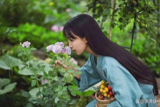 李子柒到底有多牛？停更一年每月仍有10多万美元进账