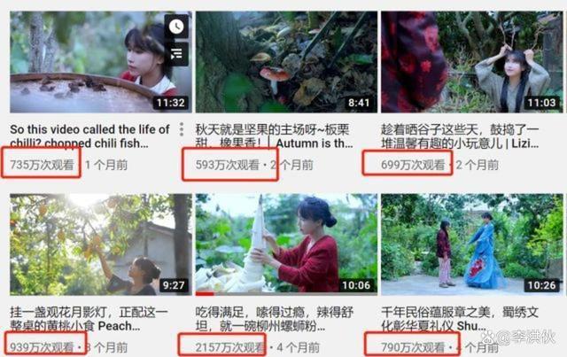 李子柒到底有多牛？停更一年每月仍有10多万美元进账