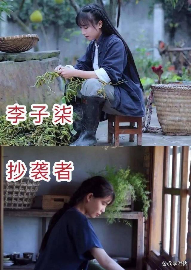 李子柒到底有多牛？停更一年每月仍有10多万美元进账