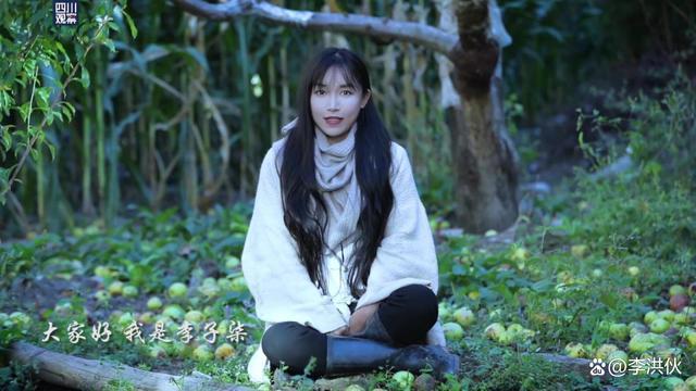 李子柒到底有多牛？停更一年每月仍有10多万美元进账