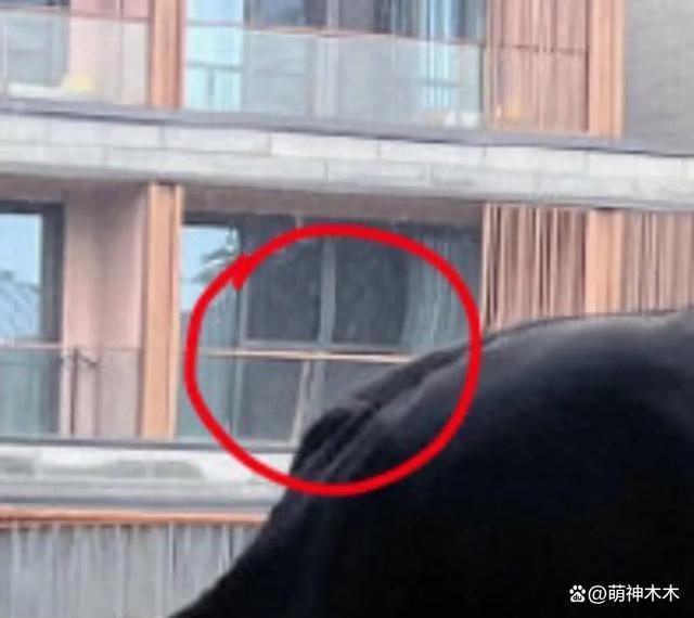 明星身材颜值靠P图？于适P肩膀被发现，虞书欣P成baby