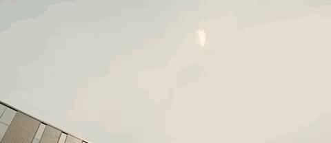 神剧归位，但我怕它被举报