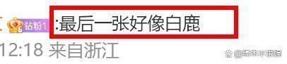 王岳伦新恋情疑曝光，女子肤白貌美身材好，正面曝光神似白鹿！