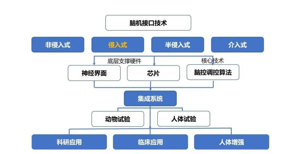 脑机接口，离治抑郁、瘫痪很近，离数字永生很远