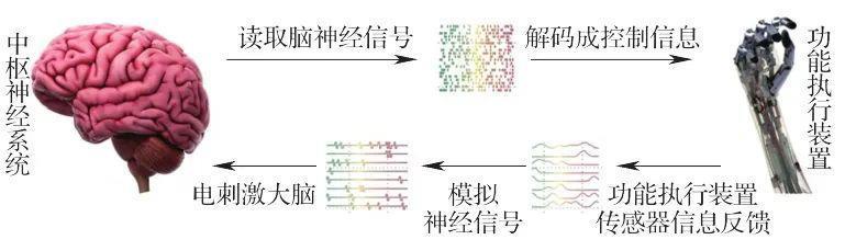脑机接口，离治抑郁、瘫痪很近，离数字永生很远