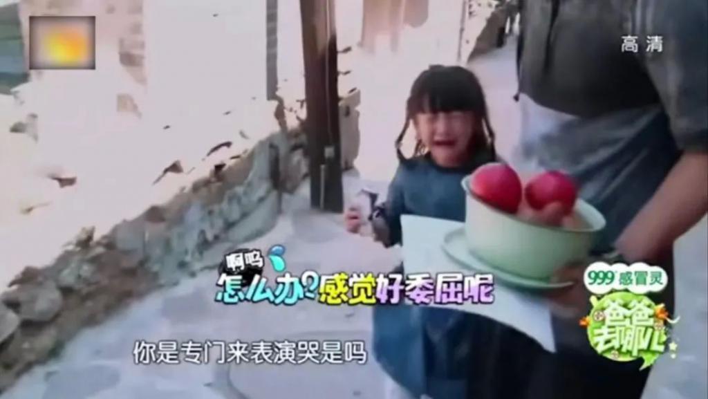 《爸爸去哪儿》十周年