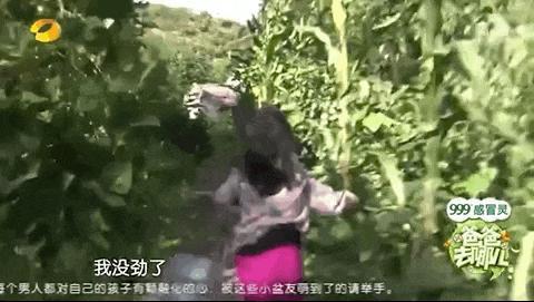 《爸爸去哪儿》十周年