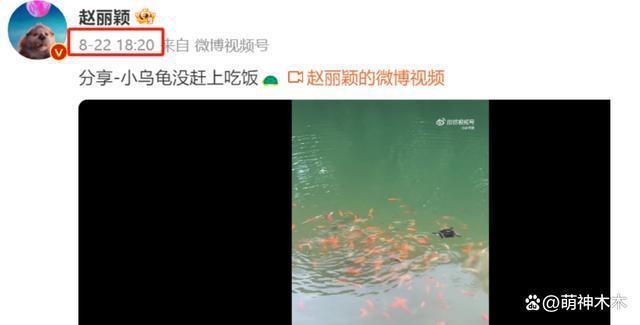 王一博赵丽颖绯闻升级！男方被曝戴假发约会，否认后又被扒