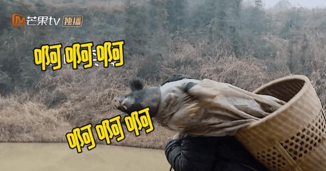 她该不会是真的想让自己C位出道吧？