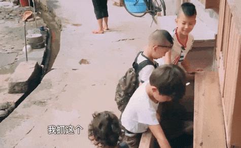 《爸爸去哪儿》十周年，星二代已跌下神坛