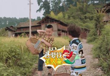 《爸爸去哪儿》十周年，星二代已跌下神坛