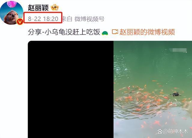 赵丽颖工作室评论区沦陷！和王一博传绯闻惹怒粉丝，要求撇清关系