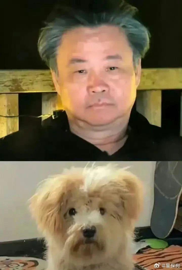 从王俊凯到朱一龙，平遥国际电影展的好笑程度100000%