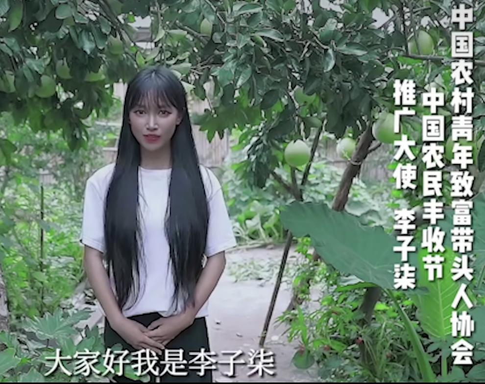 一亿粉丝苦等李子柒