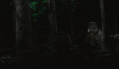 不谈恋爱后，疯过了头？