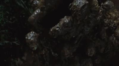 不谈恋爱后，疯过了头？