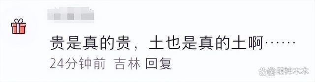 李湘王岳伦晒照为王诗龄庆生，造型价值超7万却被吐槽土气