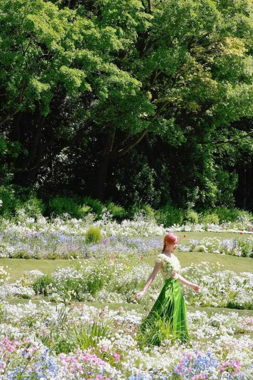 Angelababy和张嘉倪要是有她这觉悟就不会被骂了!