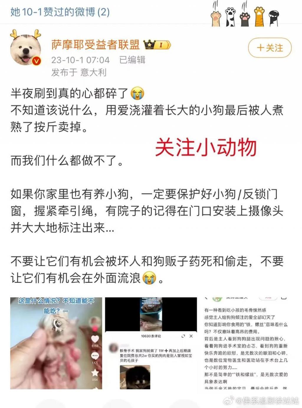 Angelababy和张嘉倪要是有她这觉悟就不会被骂了!