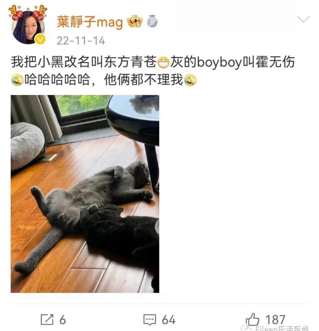 美貌贵女争产后重现身？内地显赫三千金高调出圈后如今怎么样？