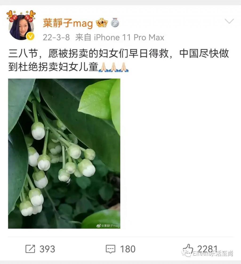 美貌贵女争产后重现身？内地显赫三千金高调出圈后如今怎么样？