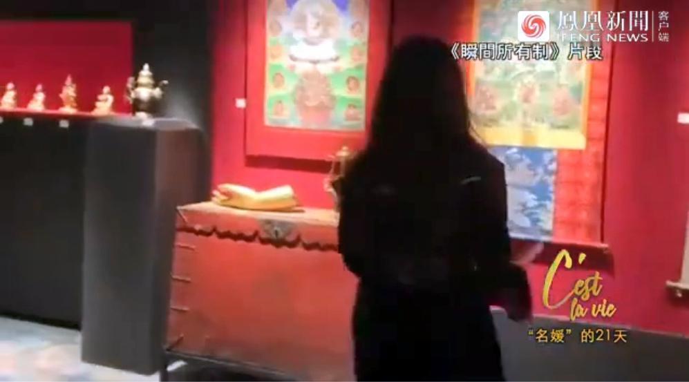 “诈骗被封杀，她还有脸复出？”