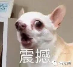 朱一龙嘴瓢“开车”，那些一开口就刹不住车的明星