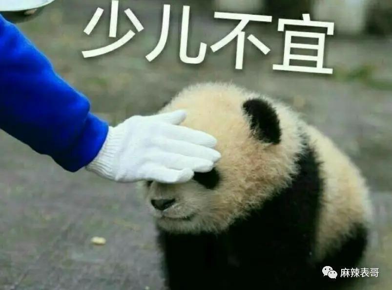 朱一龙嘴瓢“开车”，那些一开口就刹不住车的明星