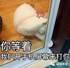 朱一龙嘴瓢“开车”，那些一开口就刹不住车的明星