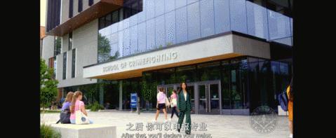 刚上线就火出圈，不愧是它